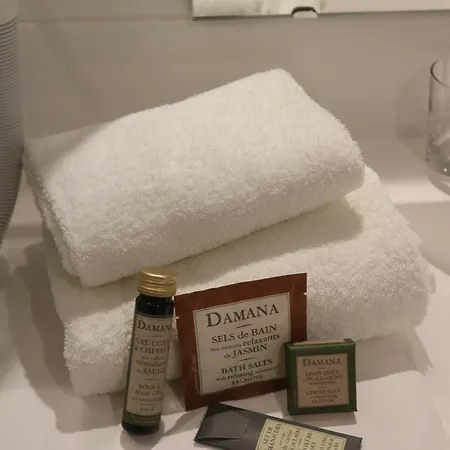 斯特拉斯堡鼎盛布里特酒店