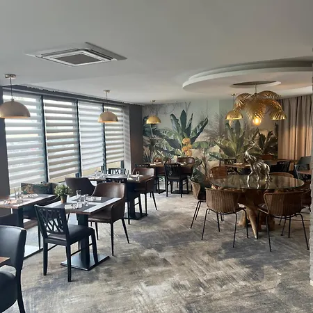 斯特拉斯堡鼎盛布里特酒店